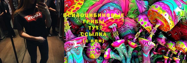 метадон Коряжма