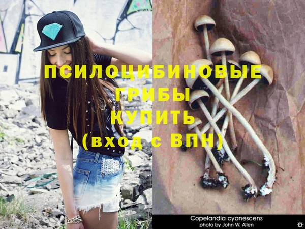 каннабис Кодинск