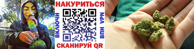 Каннабис Amnesia  где купить наркоту  Тайга 